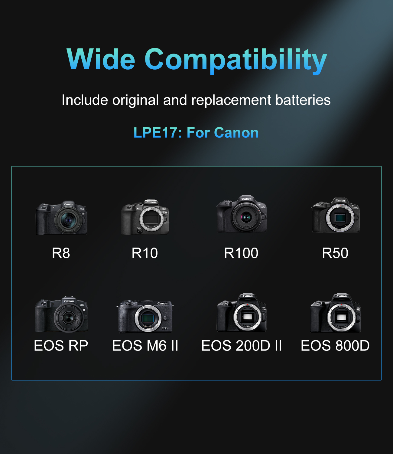 20W USB-C PD Dual Slot Charger - огляд і ціна Canon Camera Eos R50